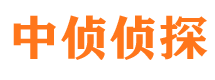 岱岳侦探公司